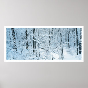 Poster Paysage d'hiver panoramique