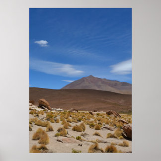 Poster Paysage du désert de l'Altiplano bolivien