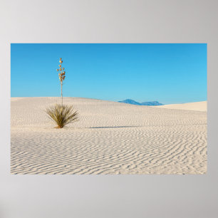 Poster Paysage du désert de White Sands et plante de yucc