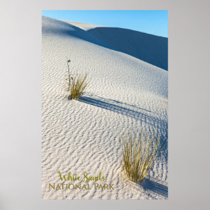 Poster Paysage du désert de White Sands et plantes de yuc