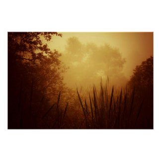 Poster Paysage du lever du soleil d'or