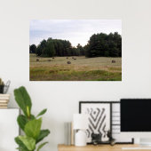Poster Paysage du Maine (Bureau à domicile)