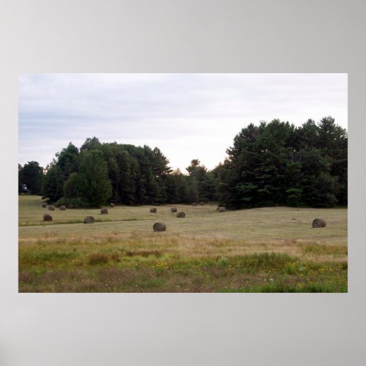 Poster Paysage du Maine (Devant)