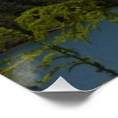 Poster Paysage du mont Hood (Coin)