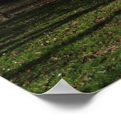 Poster Paysage du parc au début du printemps (Coin)