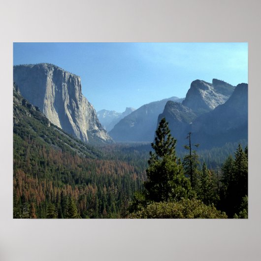Poster Paysage du parc Yosemite (Devant)