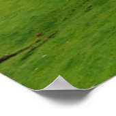 Poster Paysage écossais (Coin)