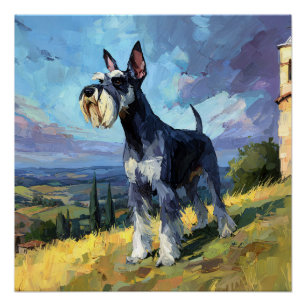 Poster Paysage ensoleillé de campagne avec un Schnauzer -