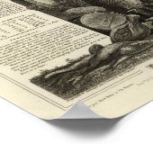 Poster Paysage et forêt (Coin)