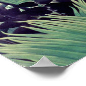 Poster Paysage exotique (Coin)