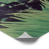 Poster Paysage exotique, 1910 (Coin)