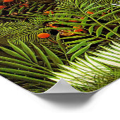 Poster Paysage exotique par Henri Rousseau (Coin)