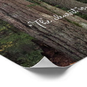 Poster Paysage forestier avec citation de John Muir (Coin)
