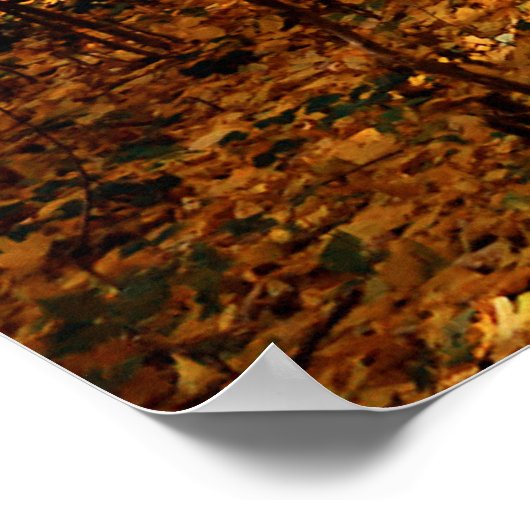 Poster Paysage forestier d'automne (Coin)