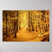 Poster Paysage forestier d'automne (Devant)