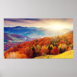 Poster Paysage forestier d'automne de montagne