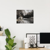 Poster Paysage forestier de Wolf Creek Brook (Bureau à domicile)