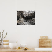 Poster Paysage forestier de Wolf Creek Brook (Cuisine)
