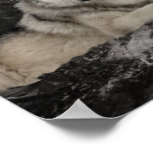 Poster Paysage forestier du ruisseau Wolf (Coin)