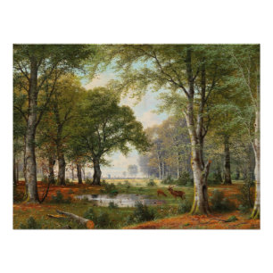 Poster Paysage forestier du soir