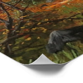 Poster Paysage forestier du soir (Coin)