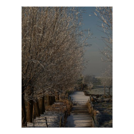 Poster Paysage hivernal (Devant)