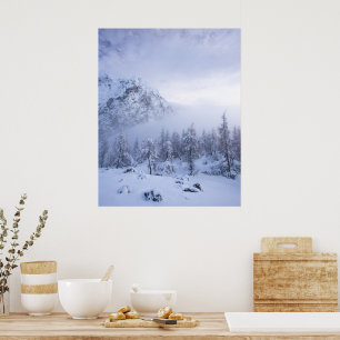 Poster Paysage hivernal, brouillard, forêt d'épicéas et m