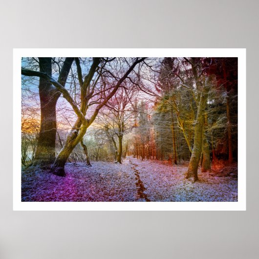 Poster Paysage hivernal des forêts enchantées (Devant)