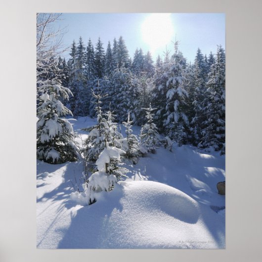 Poster Paysage hivernal froid neige 2 (Devant)