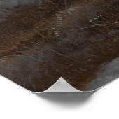 Poster Paysage hivernal, Jacob Isaacksz. van Ruisdael, c. (Coin)