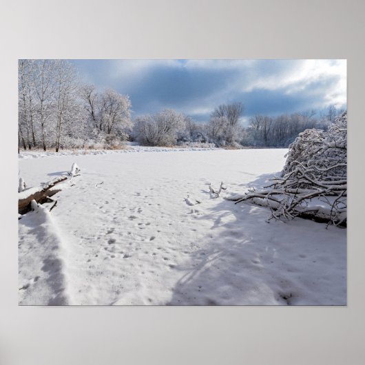 Poster paysage hivernal le long de l'étang et des forêts (Devant)