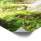 Poster Paysage luxuriant du parc central, NYC, Moyen (Coin)