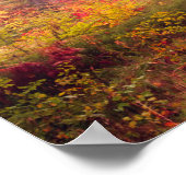 Poster Paysage Majestueux Avec Arbres D'Automne En Forêt (Coin)