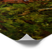 Poster Paysage Martinique de Paul Gauguin (1887) (Coin)