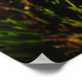 Poster Paysage montagneux d'automne (Coin)