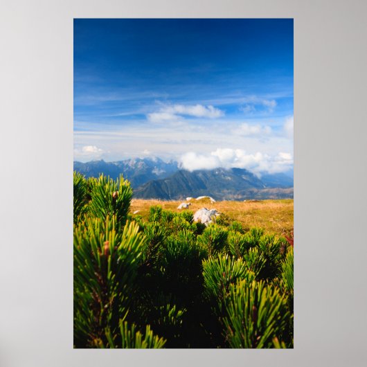Poster Paysage montagneux d'automne (Devant)