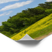 Poster Paysage naturel Champ de canola rural Biélorussie (Coin)