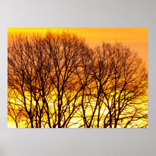Poster Paysage naturel de lever de soleil magnifique