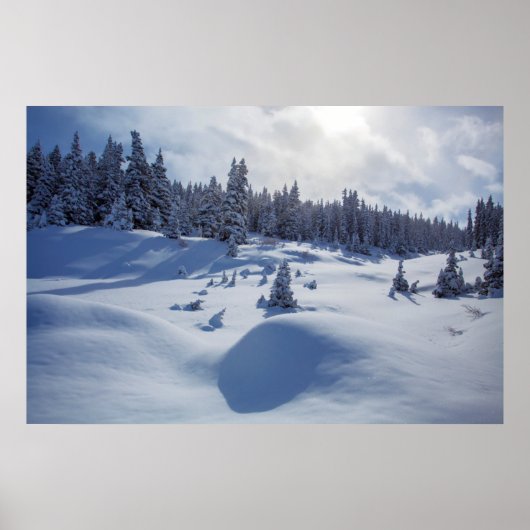 Poster Paysage neigeux (Devant)
