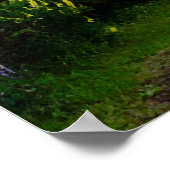 Poster Paysage néo-zélandais (Coin)