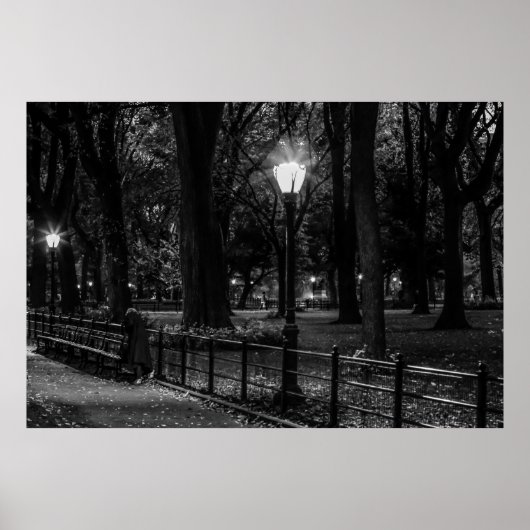 Poster Paysage noir et blanc Photo de Central Park (Devant)