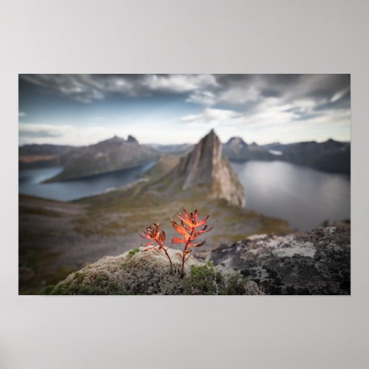 Poster Paysage norvégien (Devant)