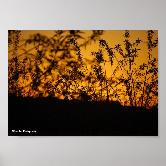 Poster Paysage Orange Coucher de Soleil Silhouette (Devant)