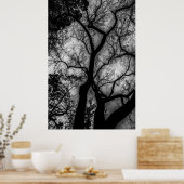 Poster Paysage Photo Arbre Noir et Blanc (Cuisine)