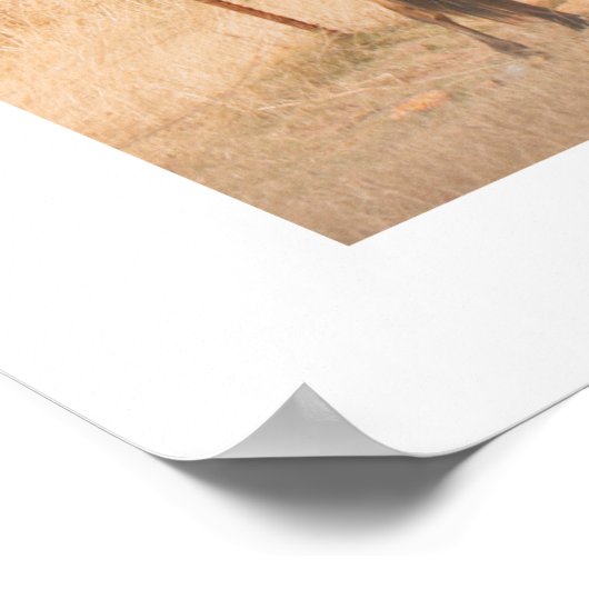 Poster Paysage rural Chevaux sauvages Champs Oiseaux (Coin)