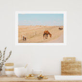 Poster Paysage rural Chevaux sauvages Champs Oiseaux (Cuisine)
