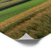 Poster Paysage rural de ferme du Midwest 16x20 (Coin)