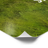 Poster Paysage rural de Saint-Kitts (Coin)