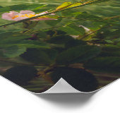 Poster Paysage rural paisible avec roses sauvages (Coin)