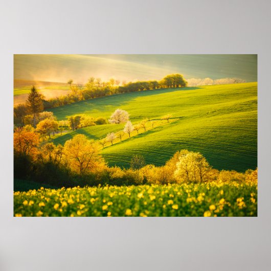 Poster Paysage rural paisible en poutres de soleil. Beau (Devant)